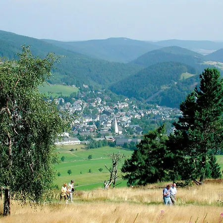 Stilleben 'dali & Monet' - Direkt Im Skigebiet Am Ritzhagen Appartamento Willingen (Upland)