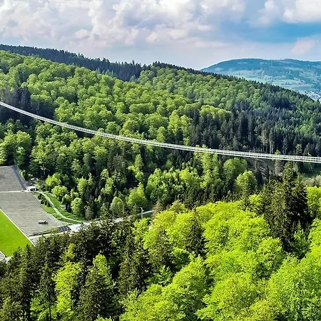 Stilleben 'dali & Monet' - Direkt Im Skigebiet Am Ritzhagen Appartamento Willingen (Upland)